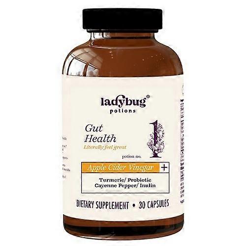 Ladybug Potions Literally Feel Great Apple Cider Vinegar Plus ,30 Capsules