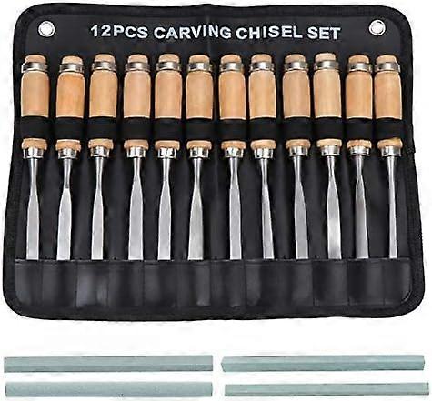 Wood Carving Hand Chisel Set, Woodworking Gouges Tool 12 in 1