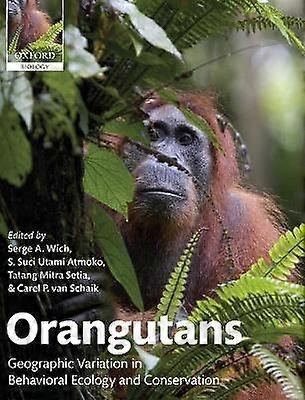 Orangutans