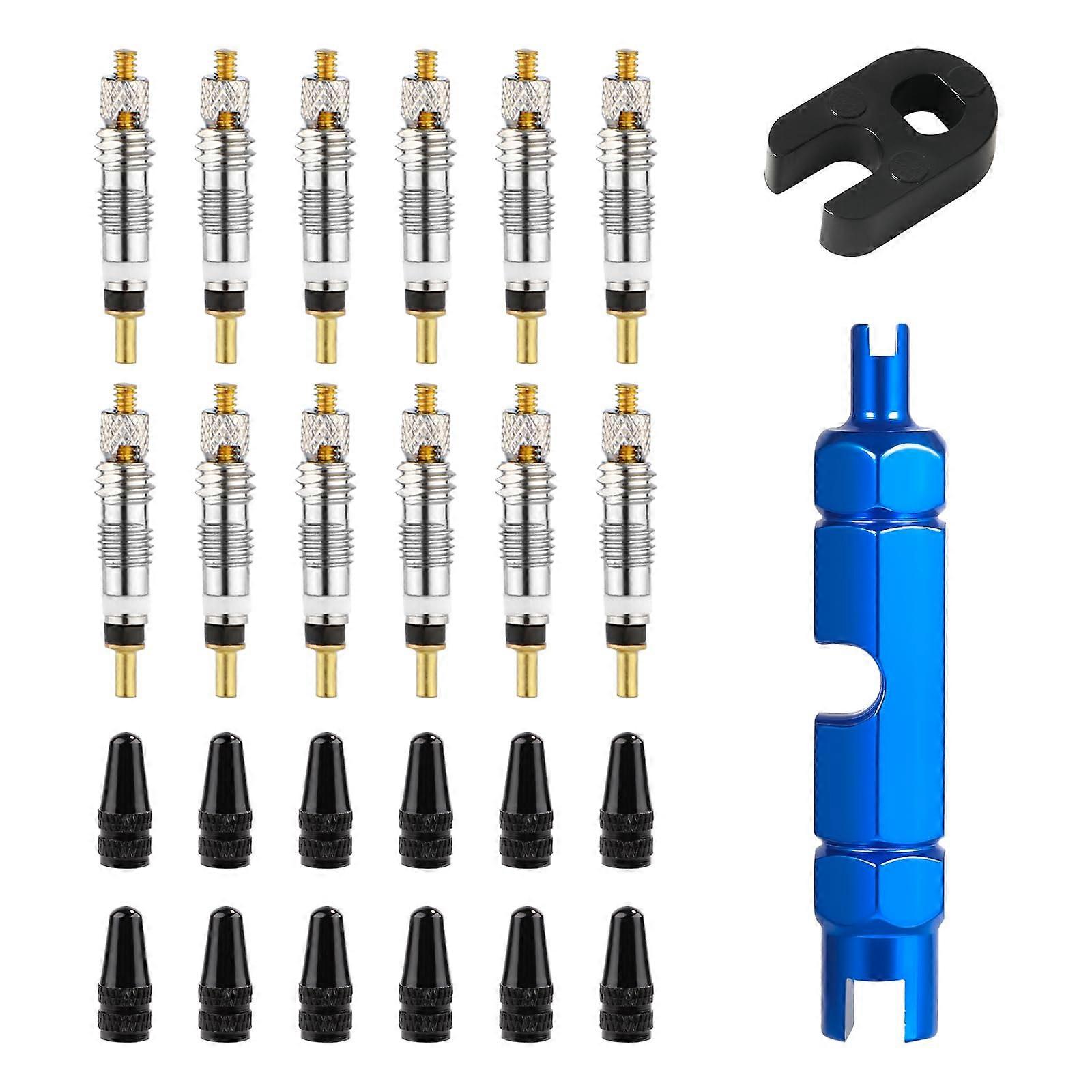 12pcs valve seeds, valve core replacement 12 core valve covers and 1 disassembly switch