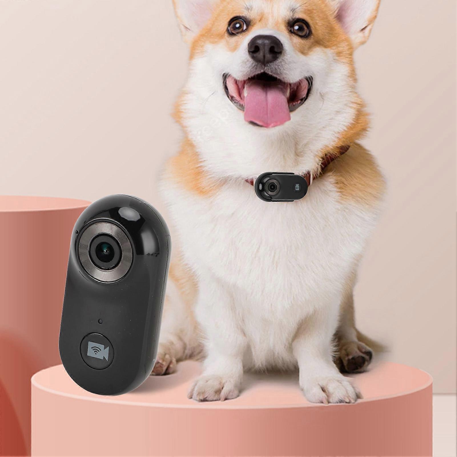 Pet Collar Camera 1080P HD 2.4G Wireless Dog Cat Wearable Video Recorder Loop Recording Small Action Camera with APP for Outdoor Vlogging Black