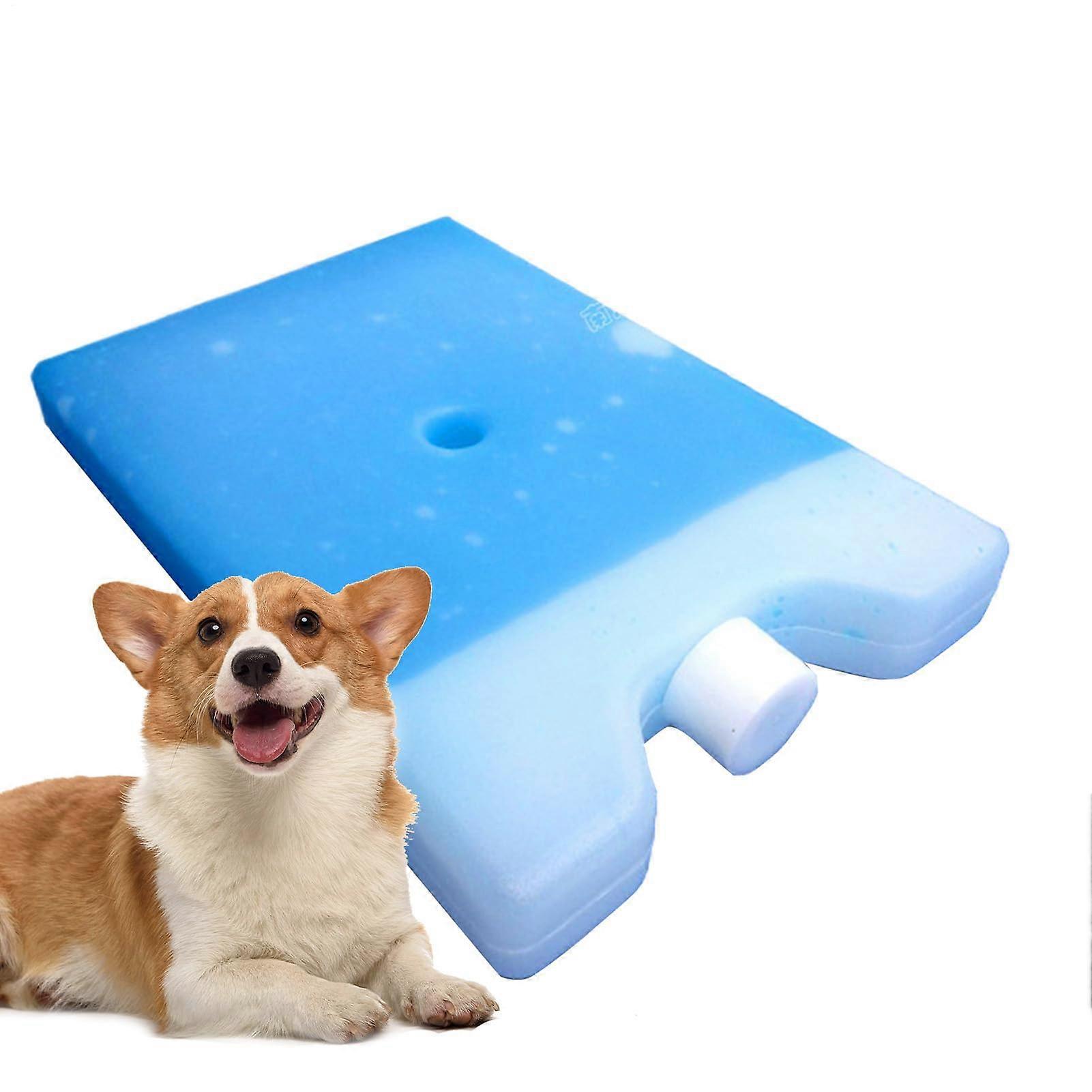 Kamp ve açık hava etkinlikleri için sızdırmaz dondurucu paketleri, öğle yemeği kutuları için yeniden kullanılabilir soğutma sistemi