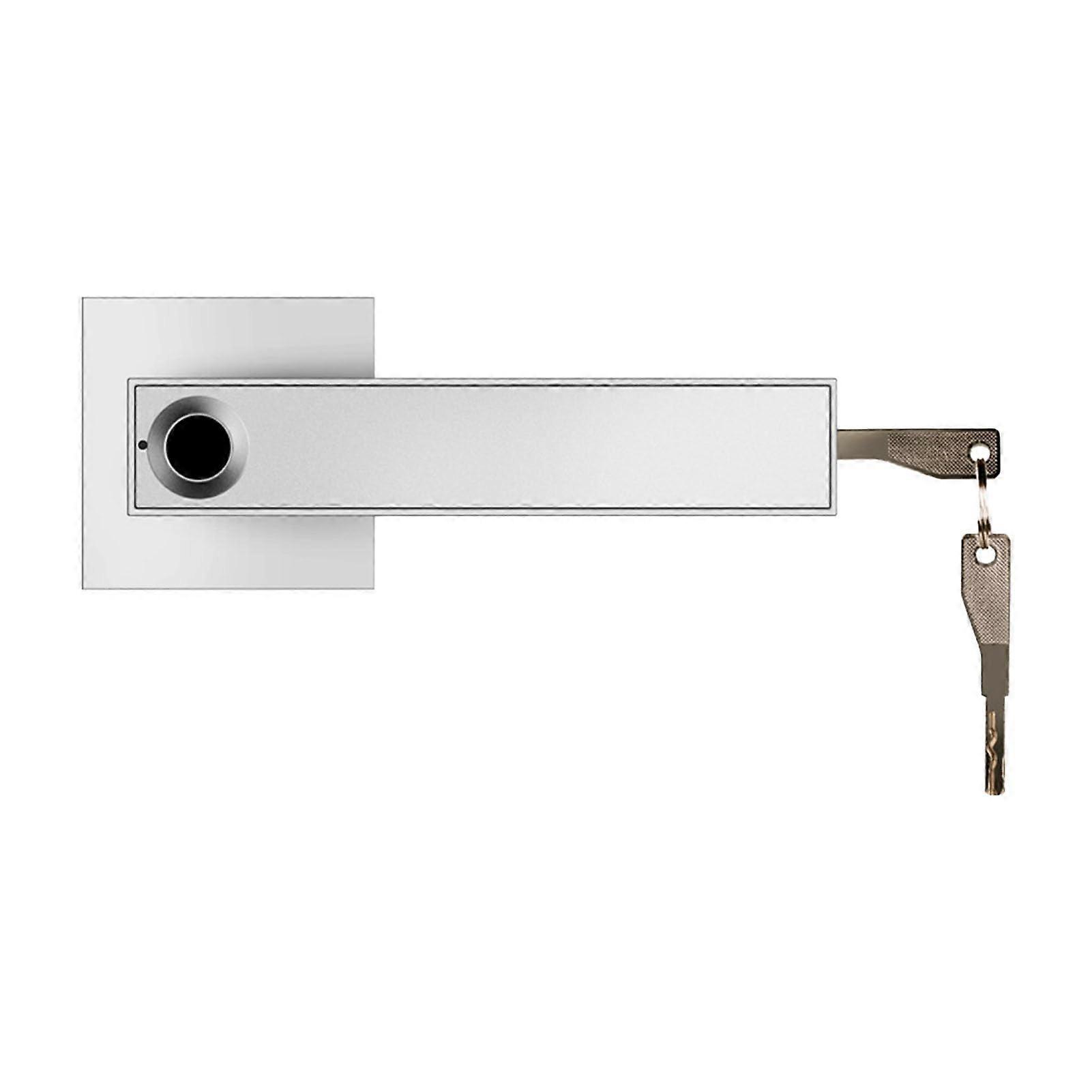 Fingerprint Door Lever Lock, 3 Modes Left Right Open Smart Lock (Silver)