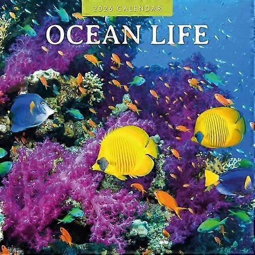 Red Robin Ocean Life Calendar 2026