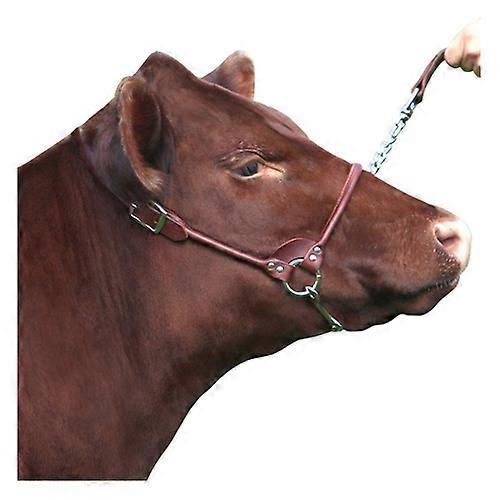 Sullivan Supply, Inc. Rolled Nose Leather Show Cow Halter Medium Brown, 1 Count