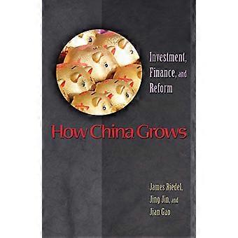 Wie China wächst: Investitionen, Finanzen und Reformen