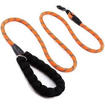 Durable Slip Lead, Highly Reflective, 360 Swivel Clasp for Outdoor Walking