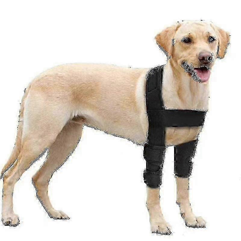 Veterinarian-Recommended Elbow Protector