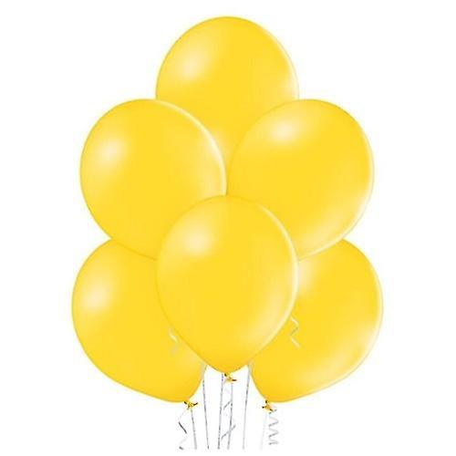 Belbal Pastel Balloon (Pack of 100)