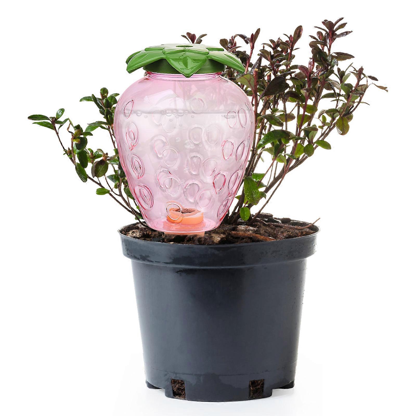 Garden Plants Automatic Drip Irrigation 500ml Plastic Plant Protector