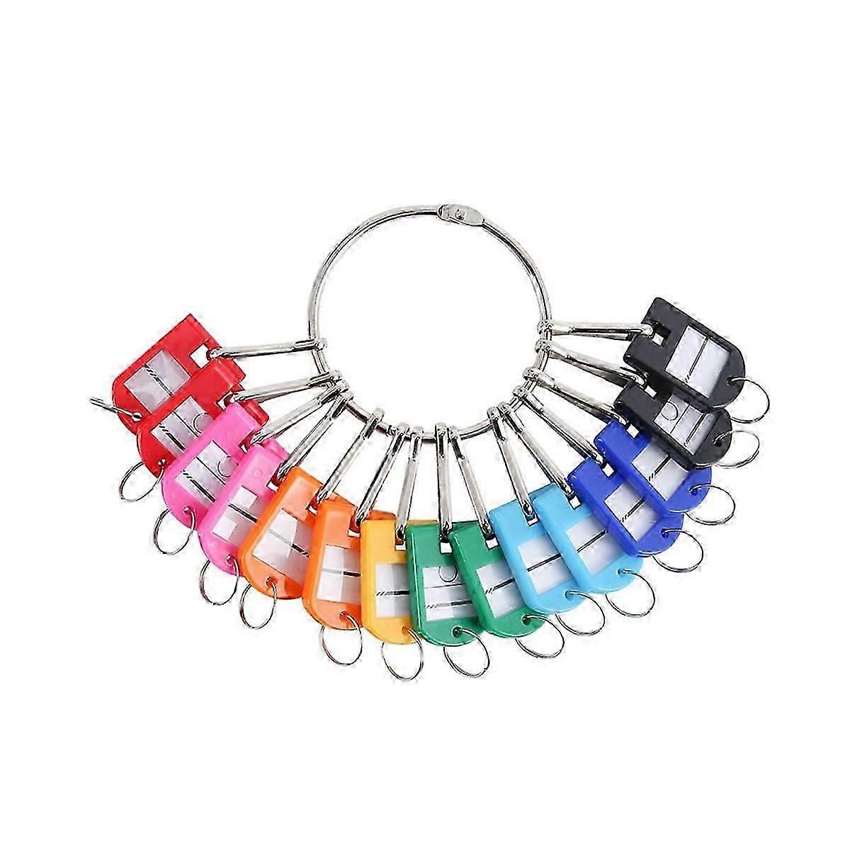 Portable Metal Ring Key Organizer with 20 Spring Hooks & Key Tags with Ring and Label Window