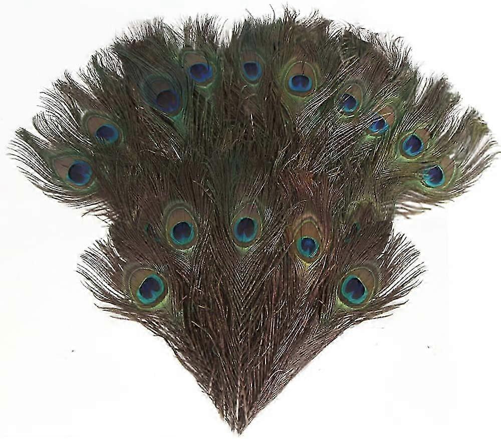 15PCS Real Natural Peacock Feathers, 10-12 Inches Peacock Tail Feather for Craft Halloween Costume Corsage Wreath and Home Decoration