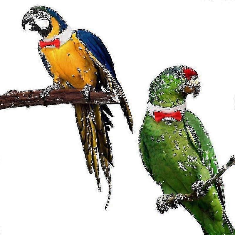 Bird Cage Bird Baths 2pcs Creative Handmade Custom Parrot Collar Bow Tie Specification: L