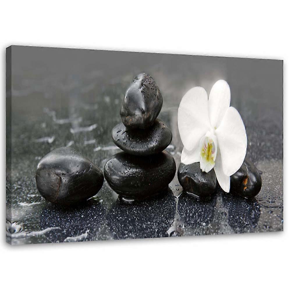 Fotobehang, Zen stenen en orchidee - 100x70