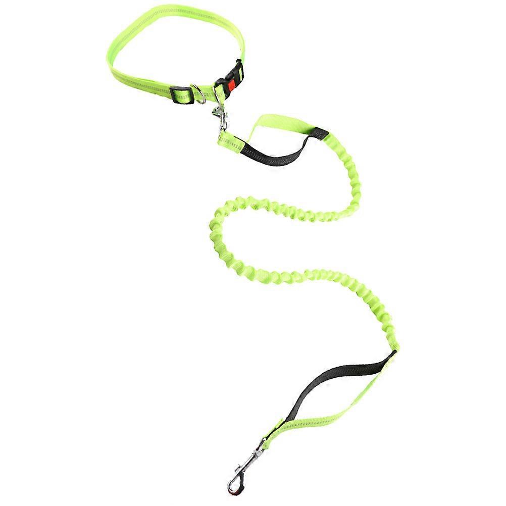 Dog Leashes and Collars Adjustable Pet Traction Rope Prevent Skin Friction for Working Traveling 170X2.5X2.5CM 1Pack