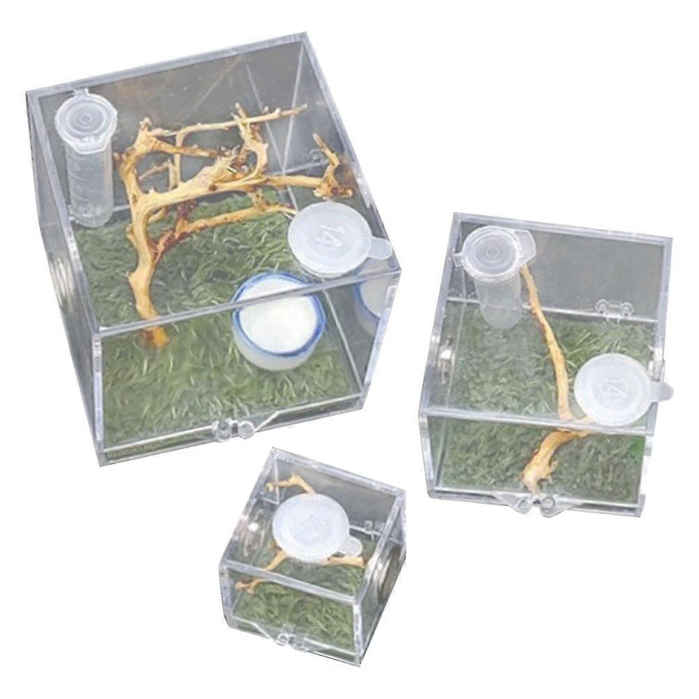 Insect Feeding Case 3Pcs Acrylic Spider Hatching Box Square Clear Design For Pet Owners 6.80X6.80X6.80CM
