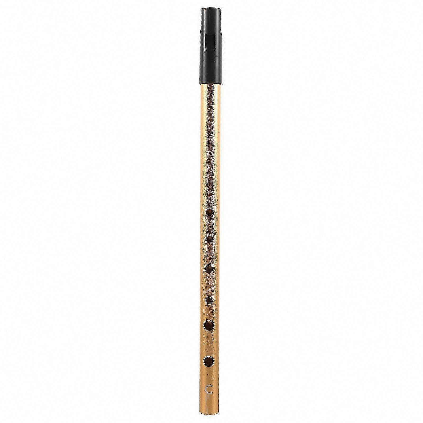 Irish Whistle for Kids - C Key Children's Music Instrument for Practice & Performance