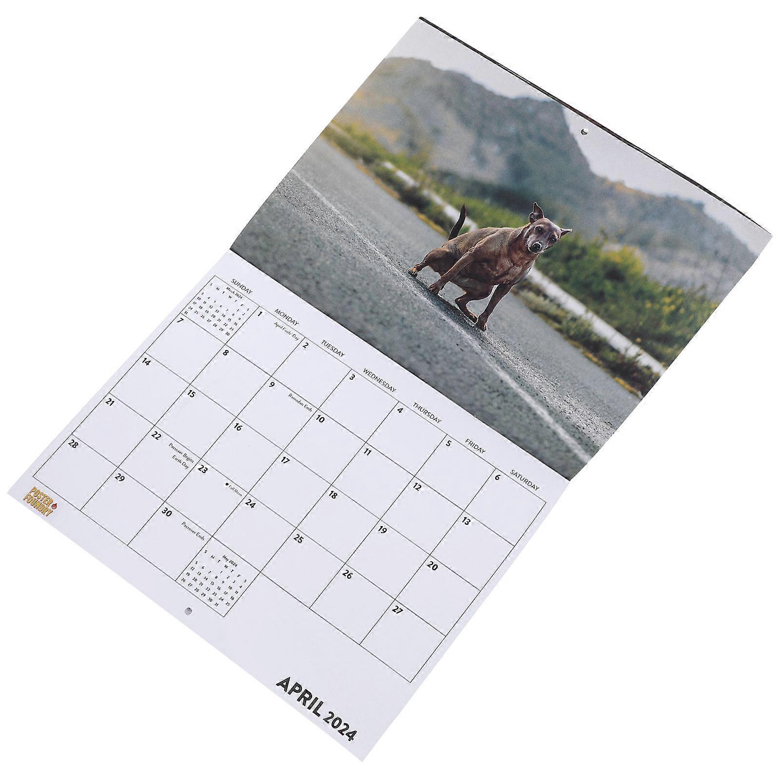 Wall Calendar 2024 For Office And Home Decor 30.5X23cm Multi Color Organizing 2Pcs