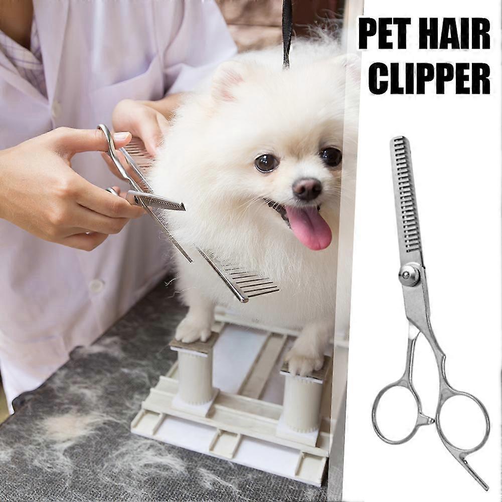 Professional 6-Inch Pet Grooming Thinning Scissors with Ergonomic Handle for Smooth Hair Blending and Comfortable Long-Term Use
