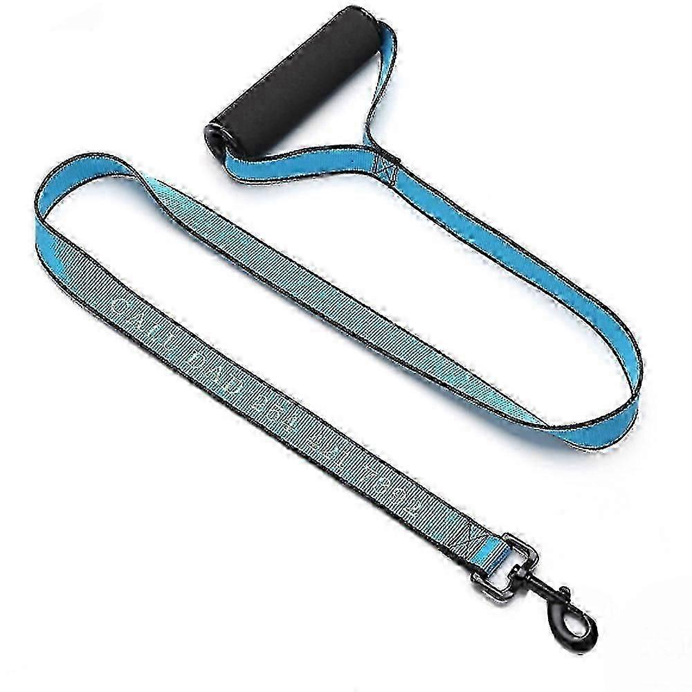 Elastic Leash With Handle For Training Walks