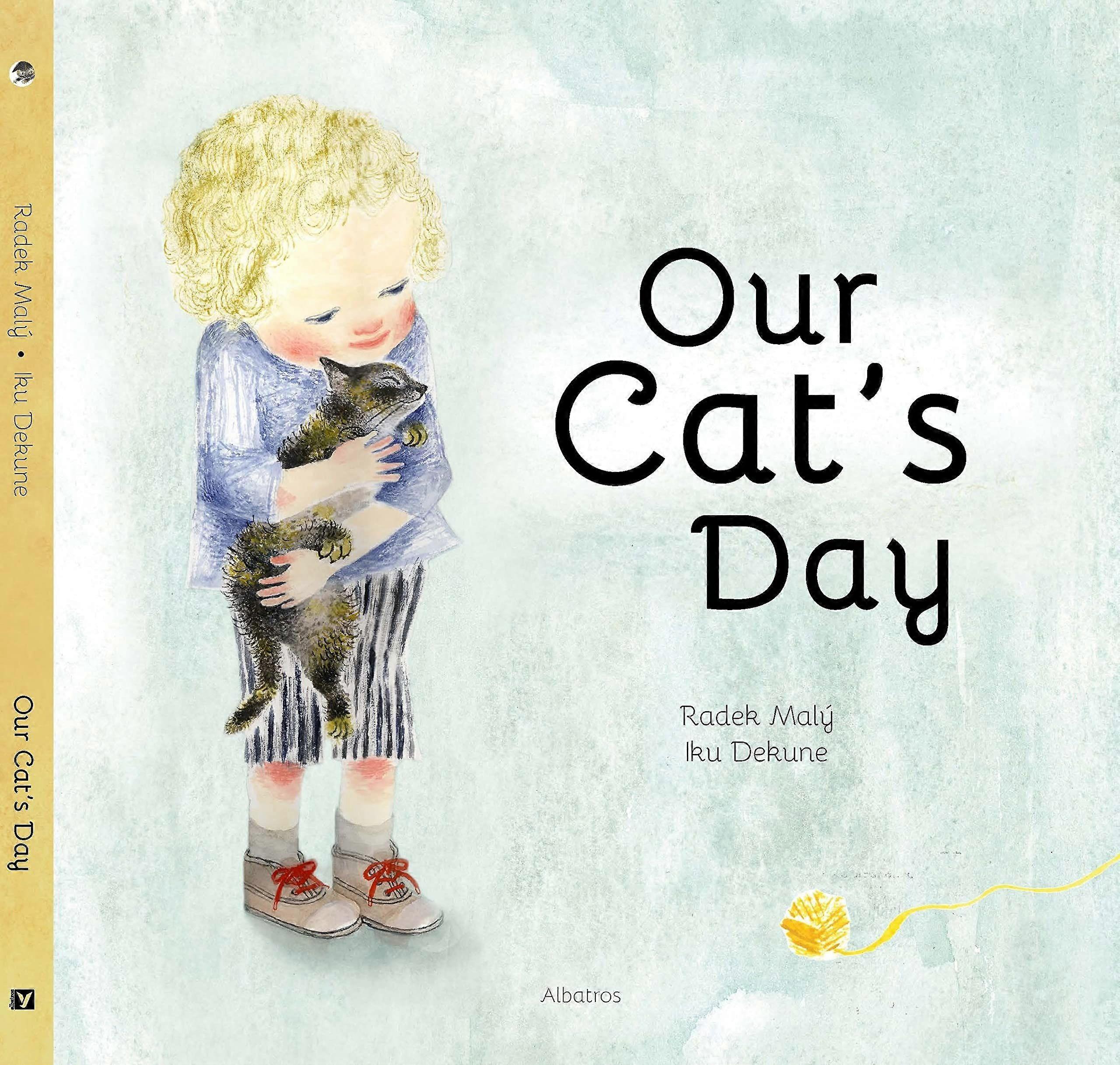 Our cat's day