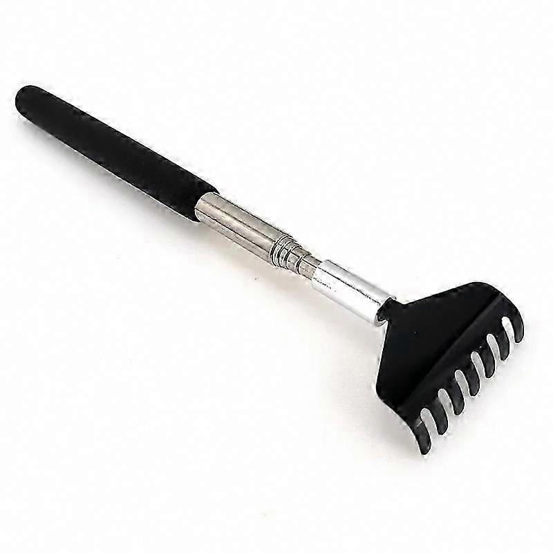 Compact Extendable Stainless Steel Scratcher