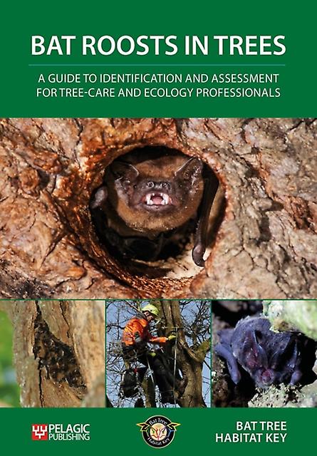 Bat Roosts In Trees by Bat Tree Habitat Key Paperback Book