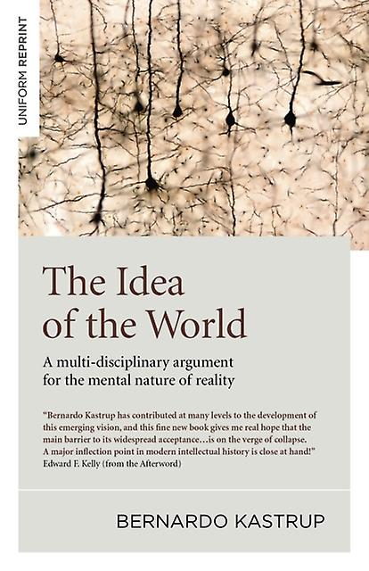 Idea Of The World The by Bernardo Kastrup Paperback