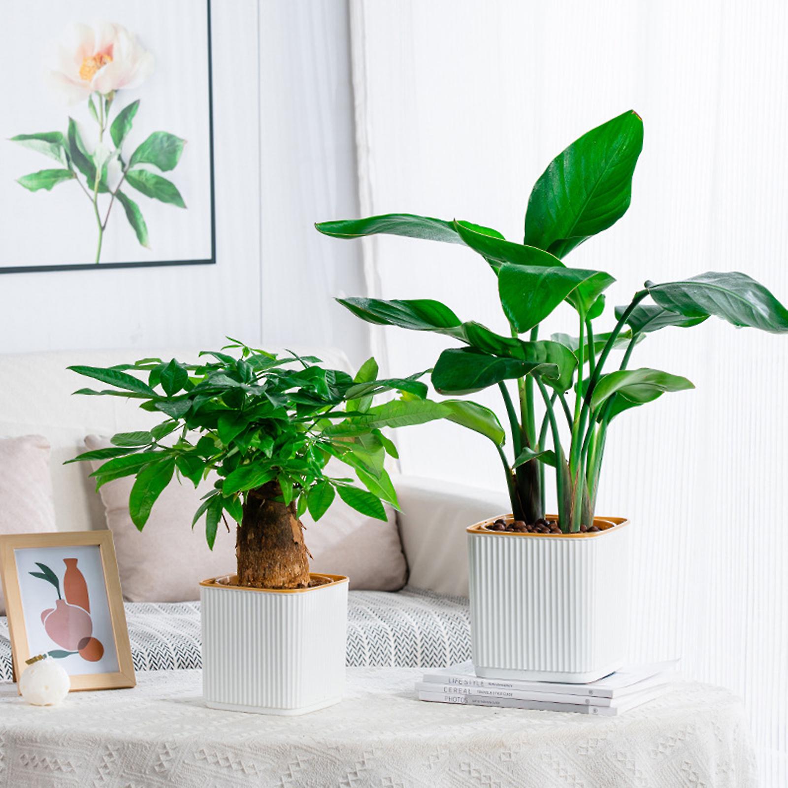 Hydroponic Self-absorbing Water Flower Pot Modern Stylish Water-saving Desktop Planter