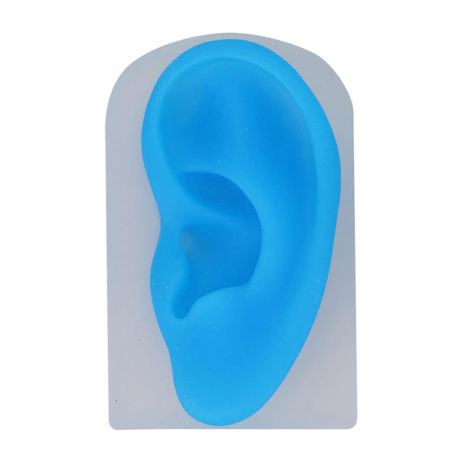 Silicone Left Ear Model Transparent Blue Flexible Soft Imitation Reusable Piercing Left Ear Model For Teaching Display