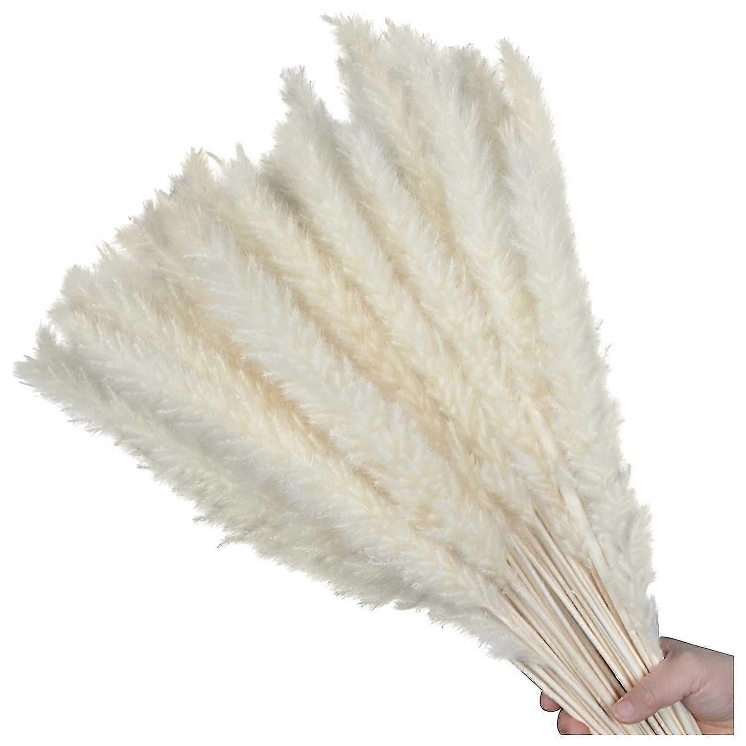 60pcs 17.72inch Dried Pompous Grass Compatible Vase Wedding Decor(white)