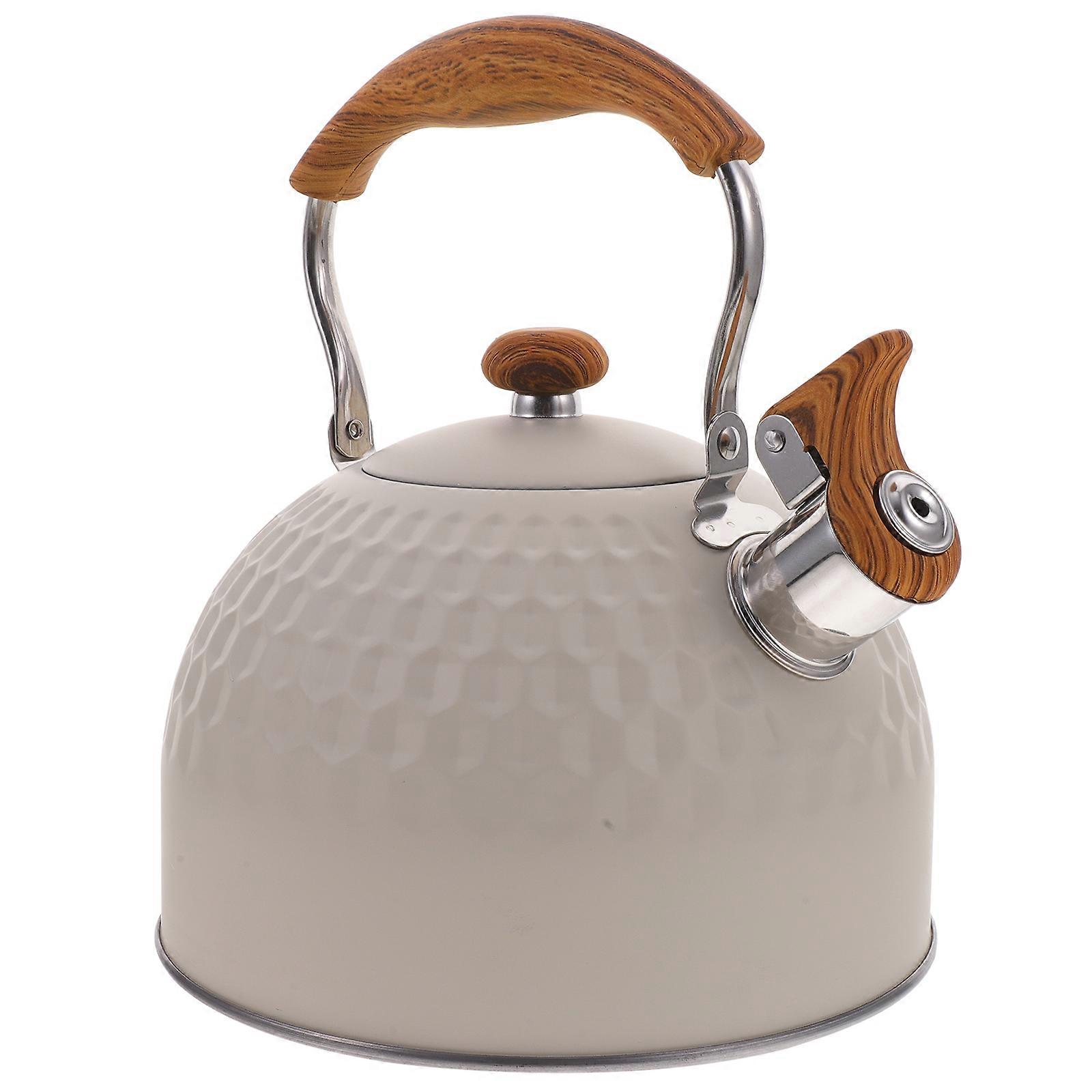 Tekanna med visslande vattenkokare i metall, ljudande vattenkokare, varmvattenkanna för kök