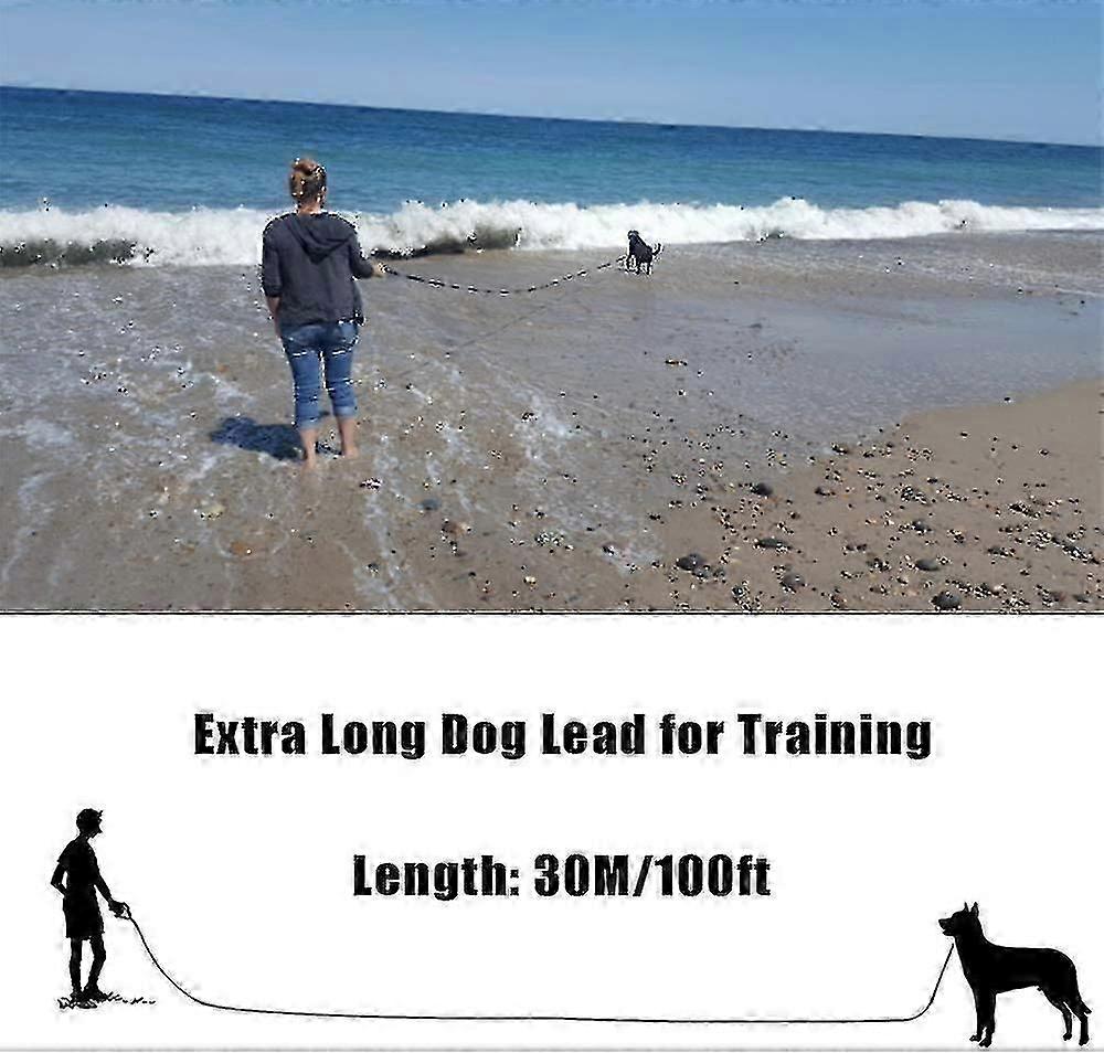 الكلب التدريب الرصاص 30M طويل الكلب الرصاص اضافية طويلة خط الكلب الرصاص 30M طويل الكلب