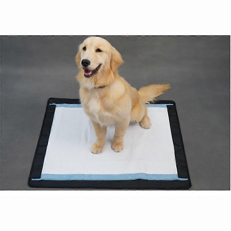 Placă INF Pet magnetică, rezistentă la scurgeri