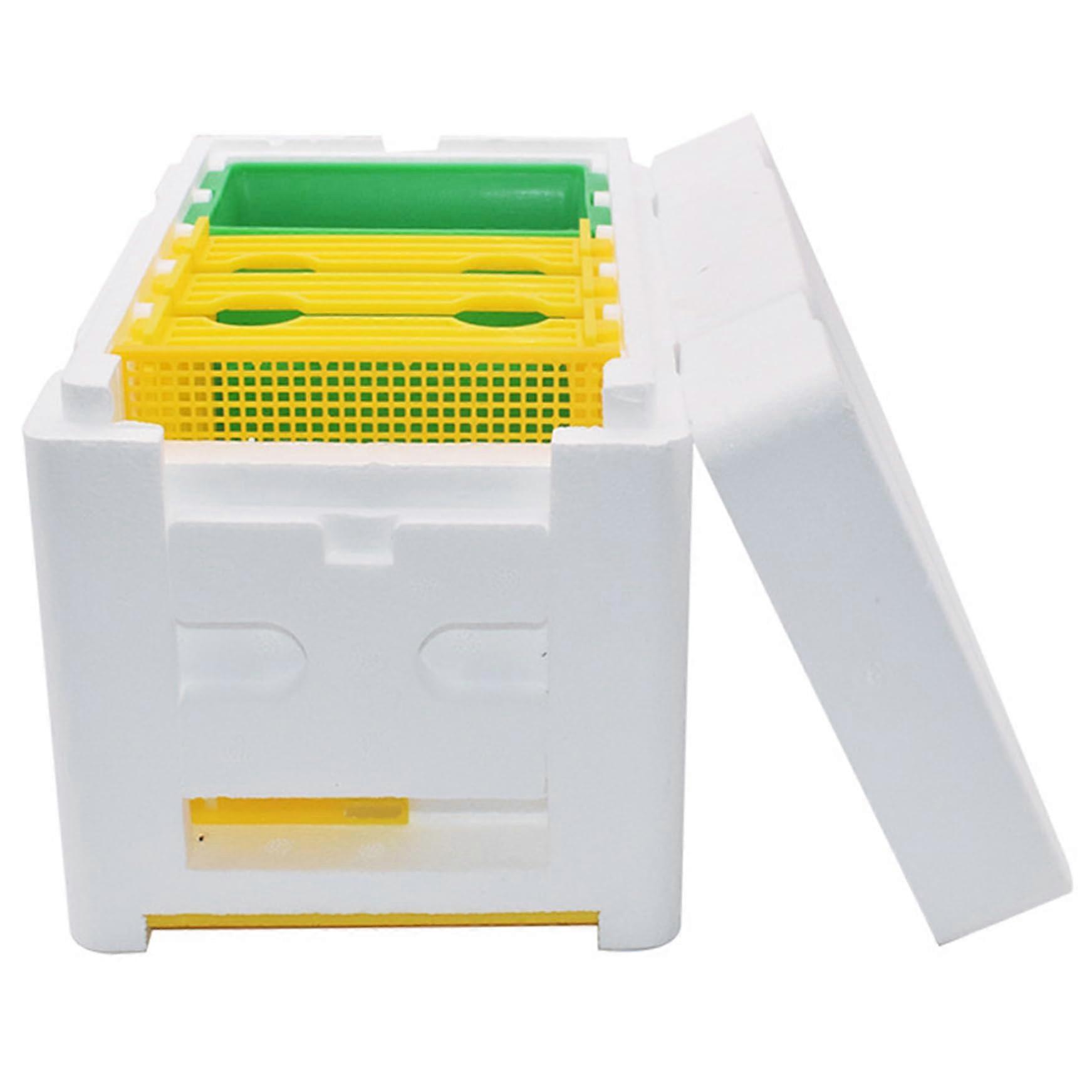 Bee Box with Water Feeder, 3 Frame Mini Foam Beehive, Grid Door Nuc Box for Mating and Rearing Bees, Beehive Supplies Type 2