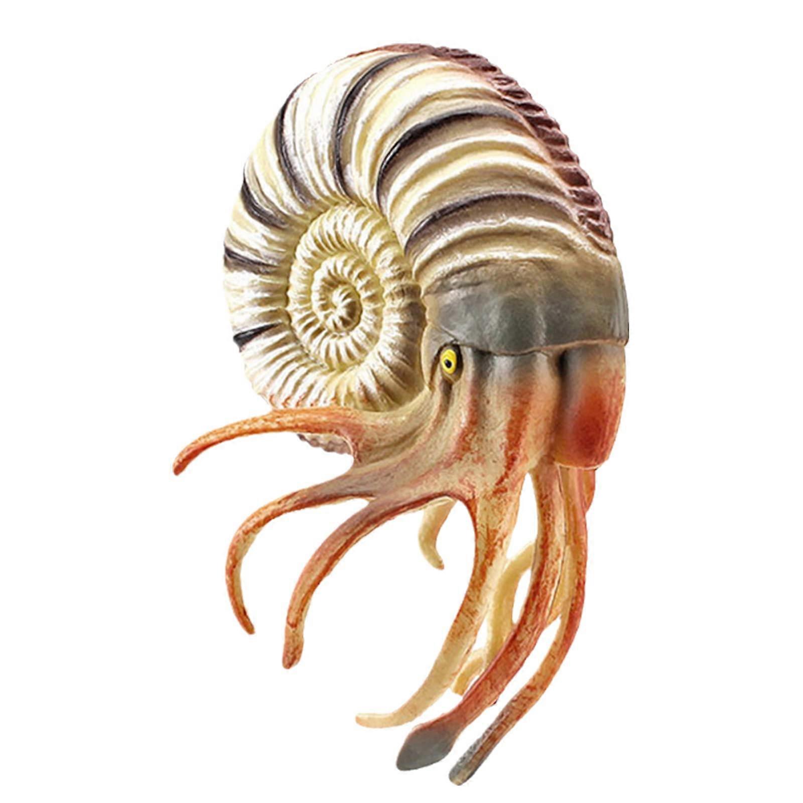Model Hermit Crab Unique Aquarium Accessories Miniature Statue Classroom Science Supplies Ref: 2590