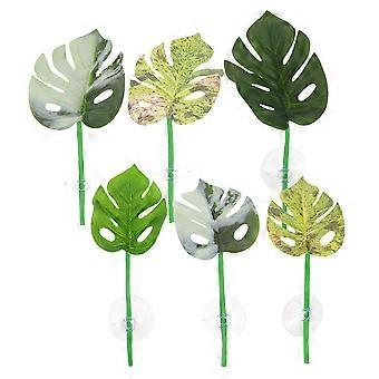 Lot de 6 feuilles de protection pour poissons Betta - Améliore la santé des poissons Betta - Aire de repos naturelle - Parterre de plantes Monstera - Décoration d'aquarium