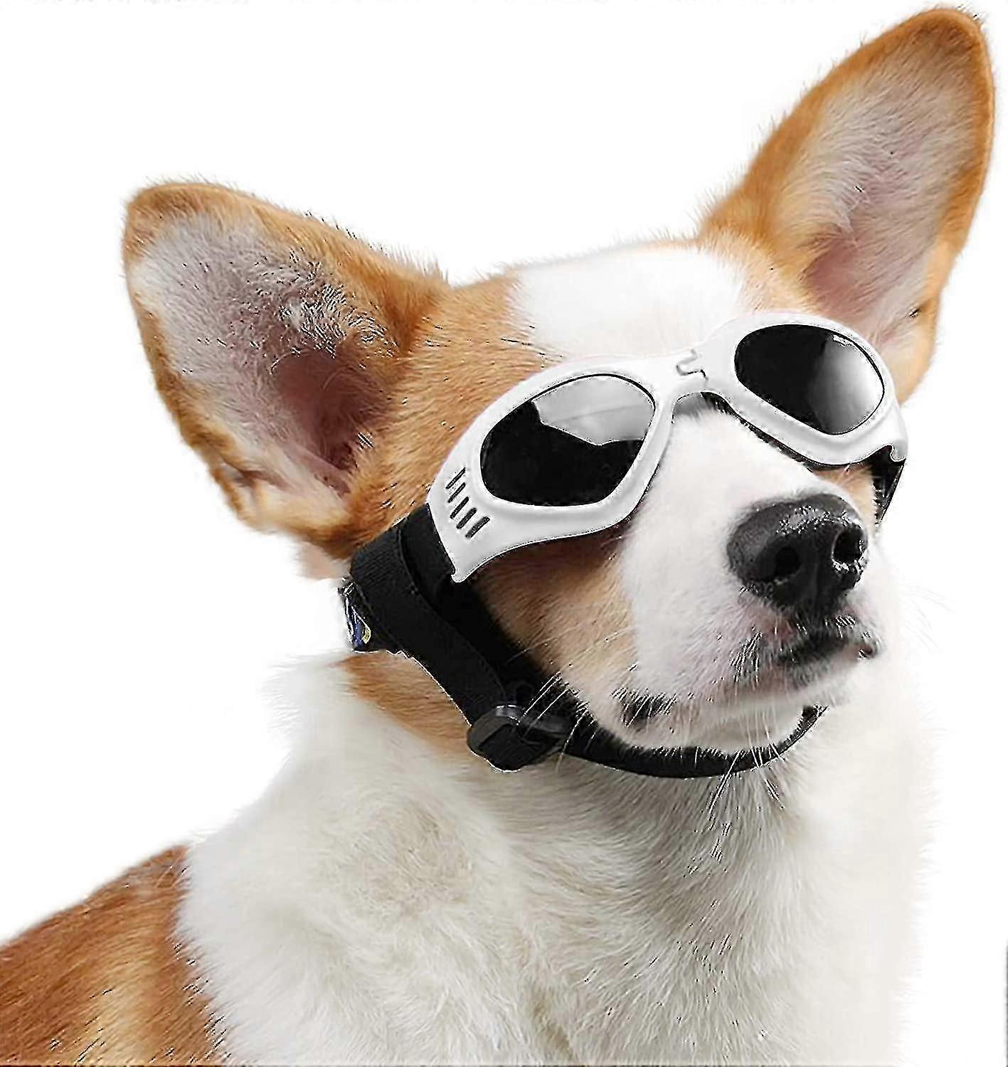 Uv Protection Pet Sunglasses