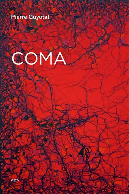 Coma by Pierre Guyotat Paperback Book