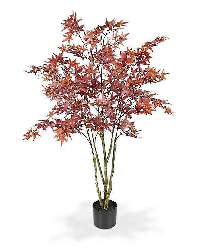 Acer tree (120 cm)