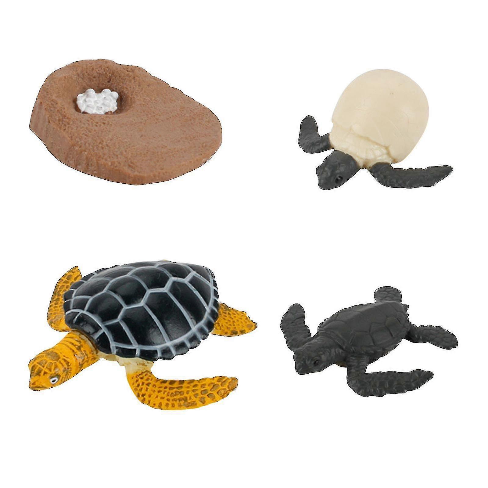 4ピース昆虫動物サイクルBrood To Period