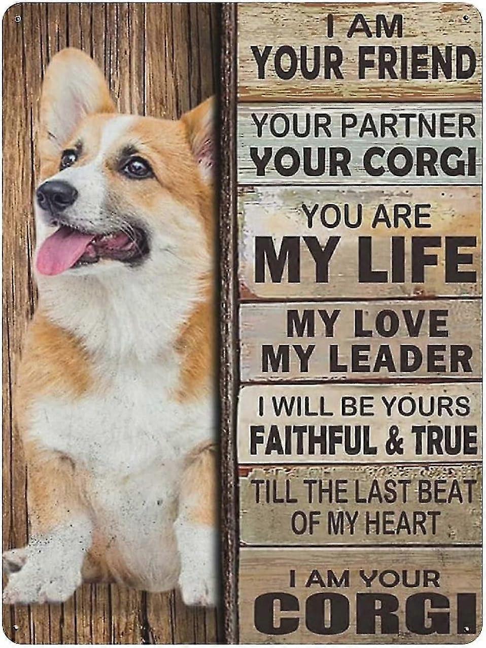 Placa de Metal Dachshund Dog Vintage Tin Poster Metal Sign 8x12 Polegadas OU 12x16 Polegadas Modo 1715