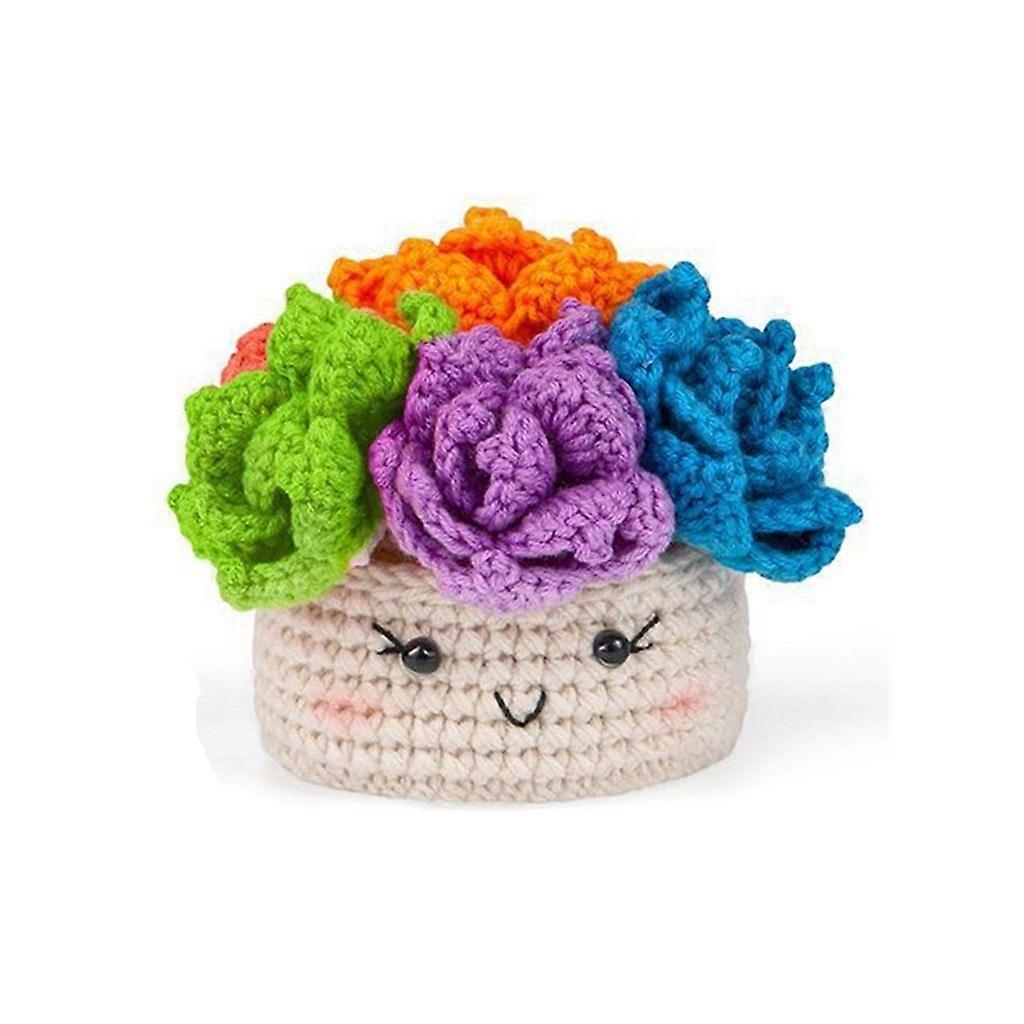 Plant Coaster Crochet Kits with English Video Tutorials Beginners Crochet Kits