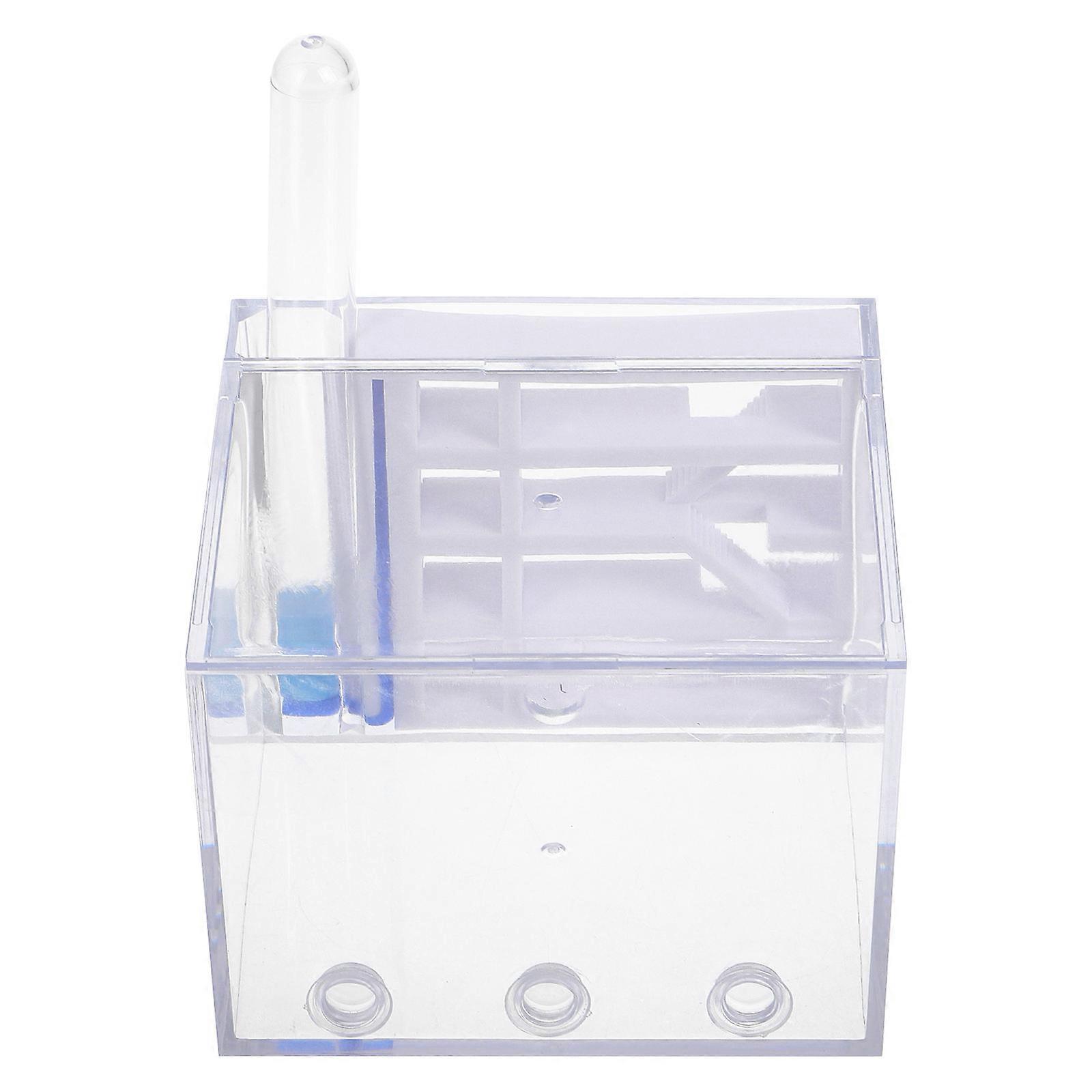 Observation Kit Integrated Habitat Easy Viewing Educational Science Experiment Learning Skill Enhancement