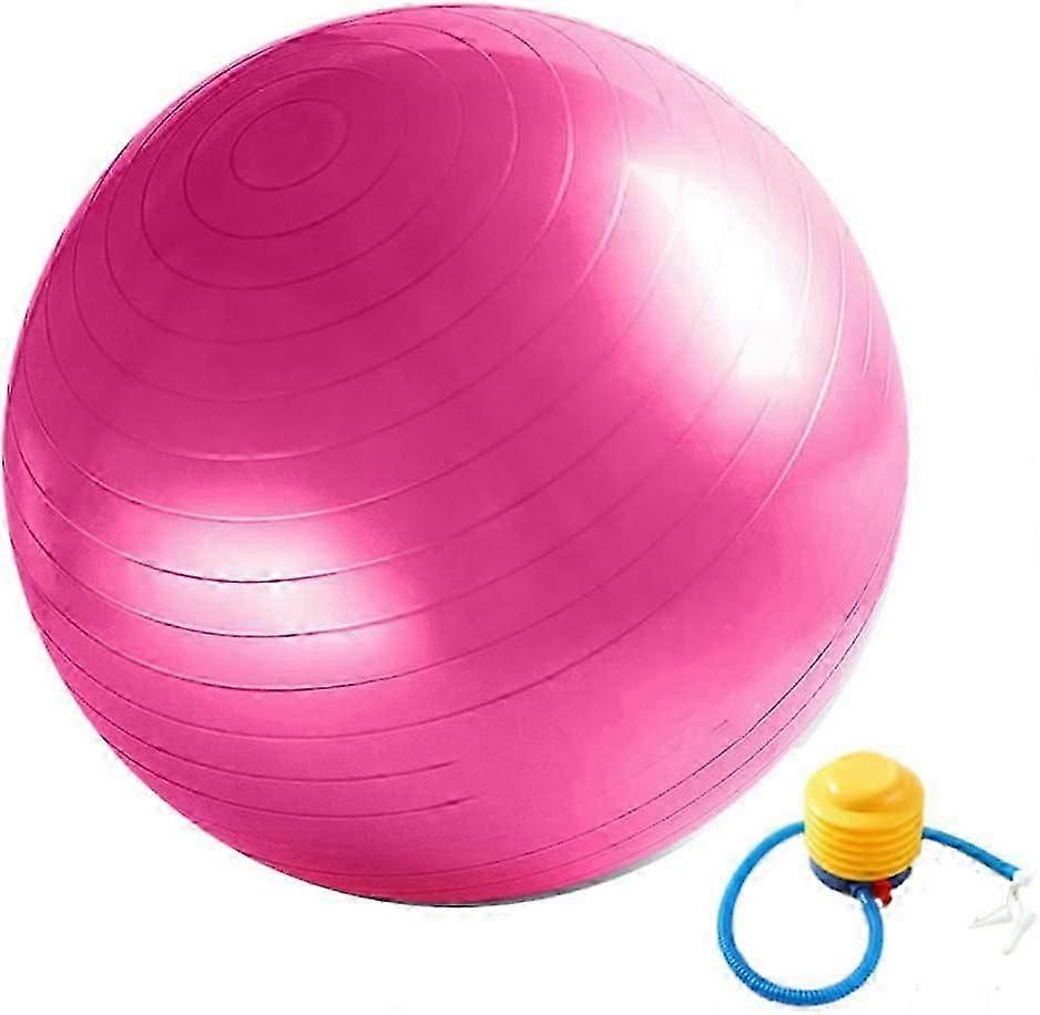 Sports Ball Anti-Burst with Ball Pump Thick Robust 300 kg Load Capacity Sports Ball Balance Pilates Yoga Ball for Office Home Gym(65CM Pink)
