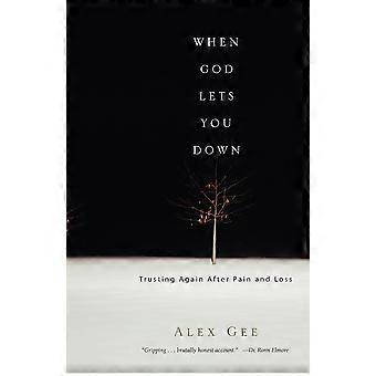 When God Lets You Down Trusting Again After Pain And Loss - Alex Gee - Paperback - en Book