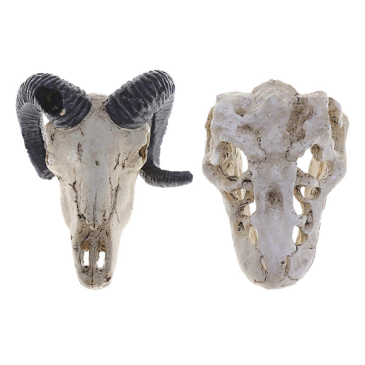 Reptile Ornaments 4 Pcs Emulational Tyrannosaurus Skeleton Head Bone Skull Decoration For Aquariums With Size S And Smooth Finish