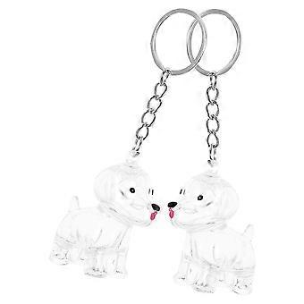 Coffret souvenir pour poils d'animaux (poils de chien) avec porte-clés (2 pièces)