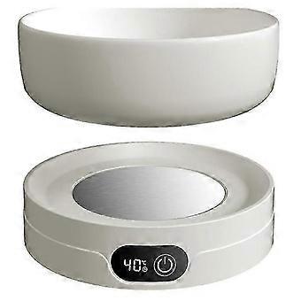 Heated Dog Cat Water Bowl with Thermal Control
