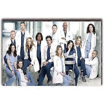 Grey's Anatomy TV Series Show Jigsaw Puzzle  Wall Art HAA973